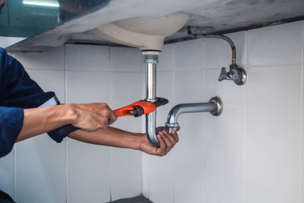 Best Plumbing Services Near Me  in Juno Ridge, FL
